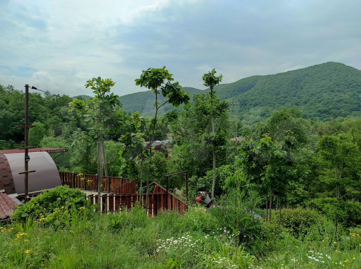 Участок 6 сот. (СНТ, ДНП)