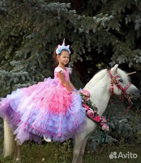 Заказ пони на праздник и в садик