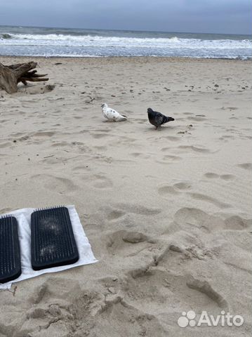 Доски с гвоздями для йоги для начинающих очищение