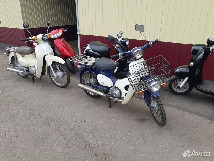 Honda cub Легендарный японский мопед