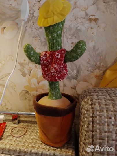 Танцующий кактус