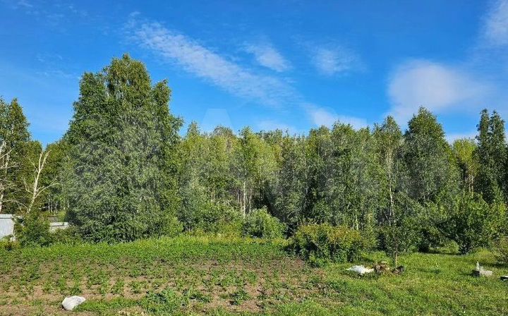 Участок 8,9 сот. (СНТ, ДНП)