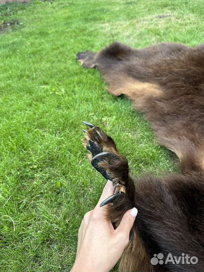 Медвежья шкура, имитация