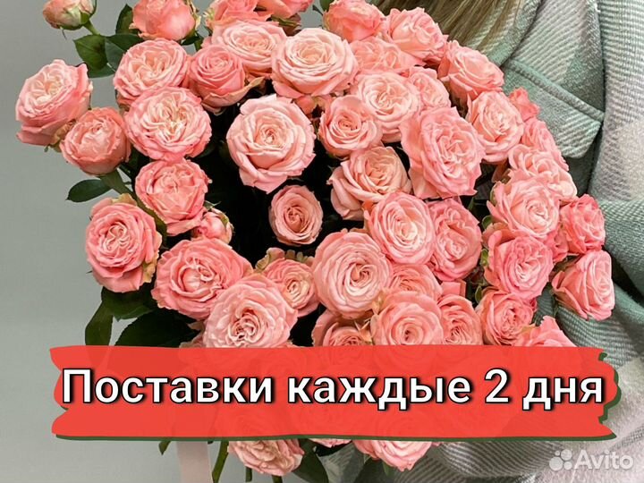 Букеты. Розы. Доставка цветов Зеленоград