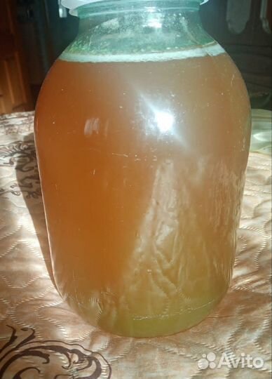 Мёд, северный мёд 2024