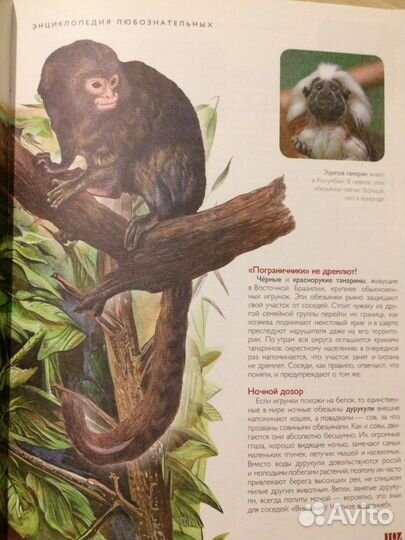 Книга энциклопедия про животных