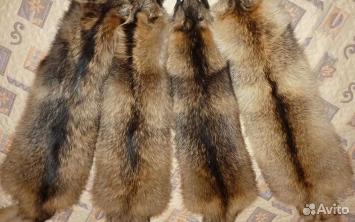 Шкуры енота, куницы, норки