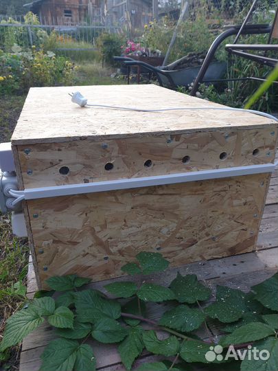 Брудер (Люкс ) для цыплят (перепелов )