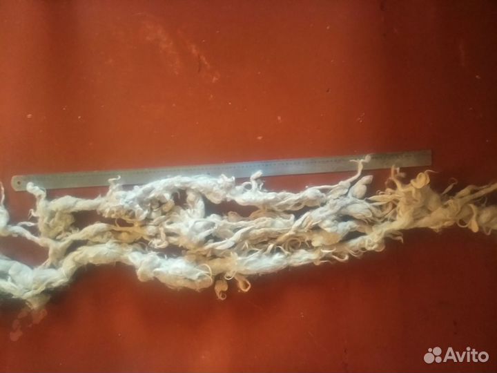 Козий пух, пух ангорской козы, длинный