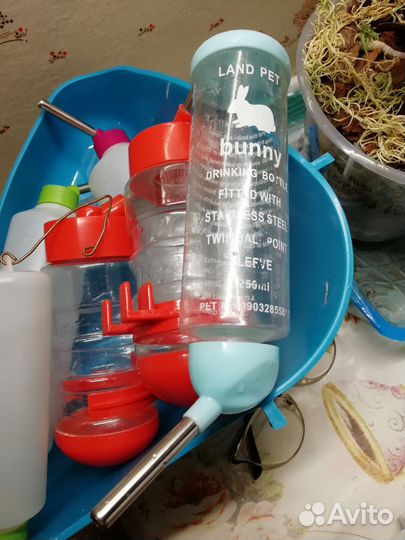 Поилки, сеники