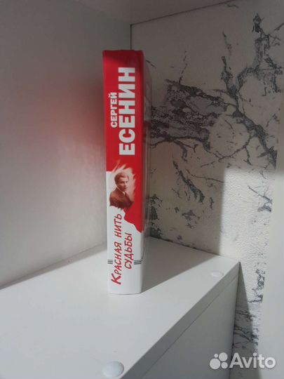 Книга о жизни и творчестве Сергея Есенина