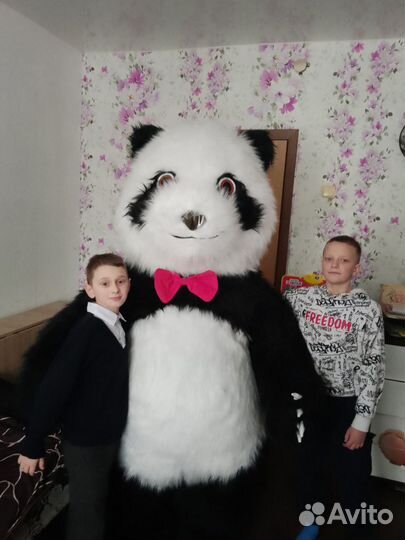 Аниматор на детский день рождения. Панда