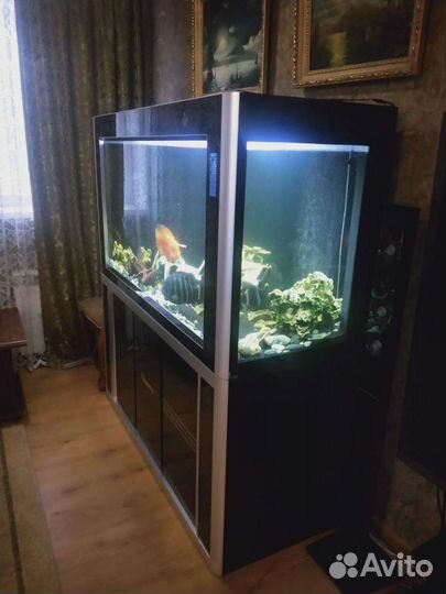 Аквариум Cleair Aquatics 700л