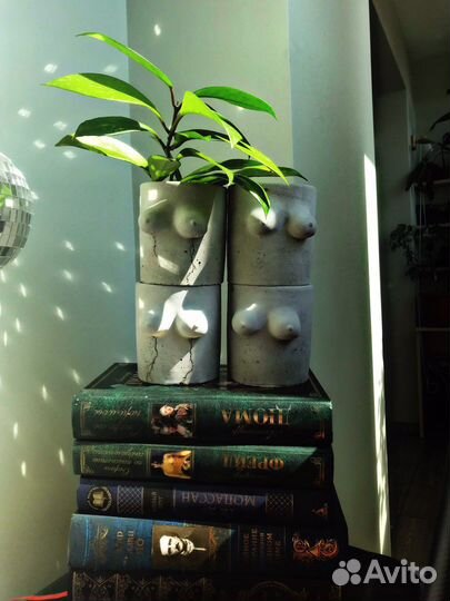 Кашпо для цветов