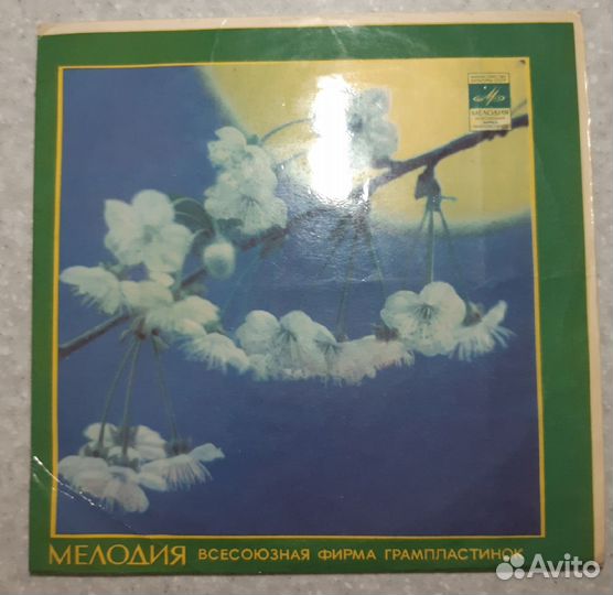 Виниловые пластинки