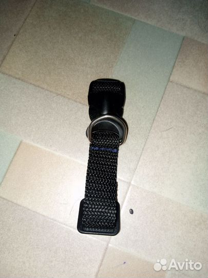 Вещи для животных