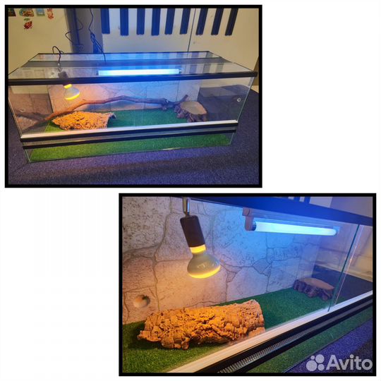 Террариум для змей