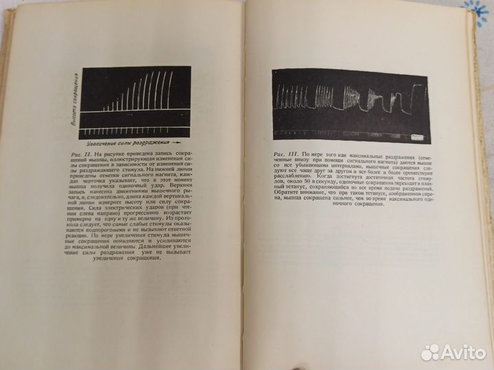 Р. Джерард Функции человеческого тела 1947