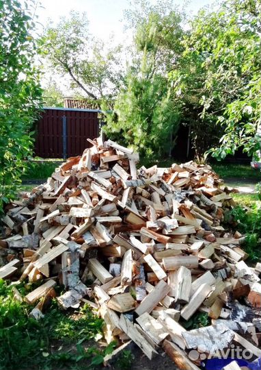 Дрова сегодня