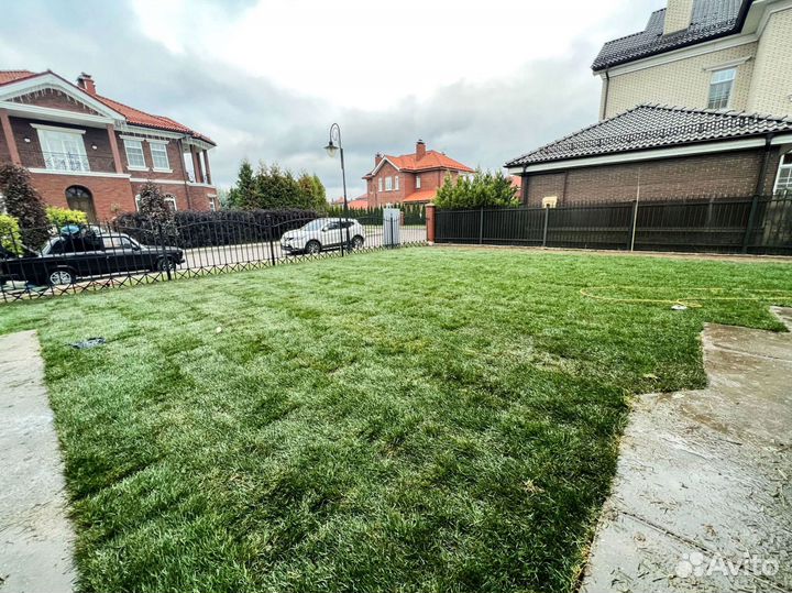 Рулонный газон 