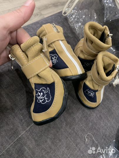 Обувь для собаки