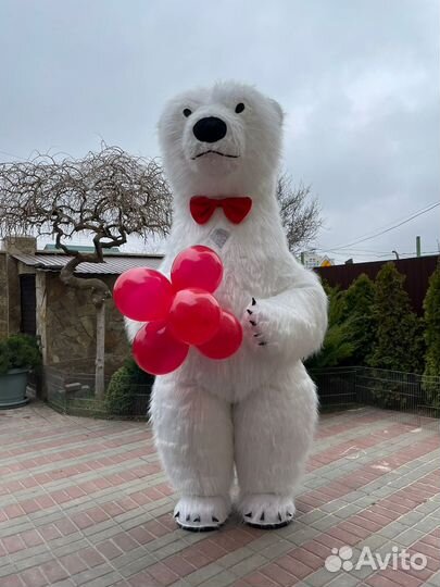 Белый мишка поздравление аниматор на праздник
