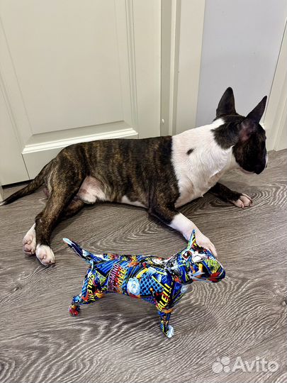 Статуэтка Мини Бультерьер