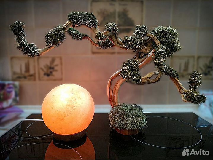 Коряги для аквариумов и террариумов