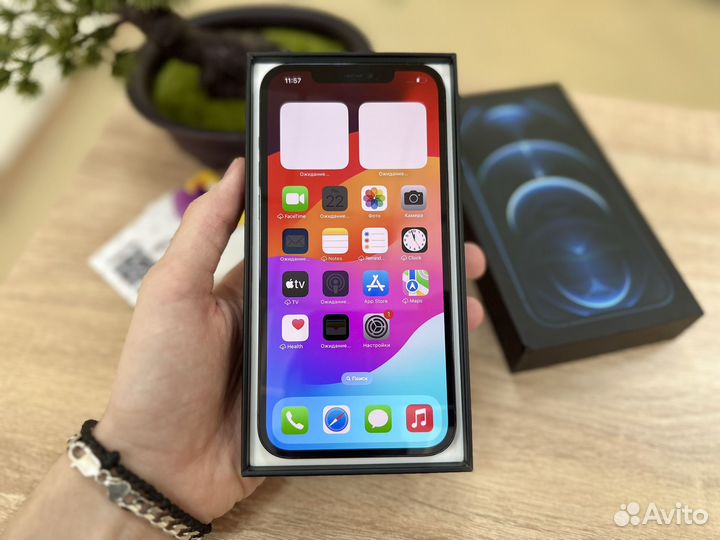 iPhone 12 Pro Max, 256 ГБ