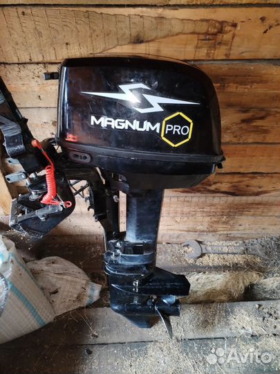 Лодочный мотор