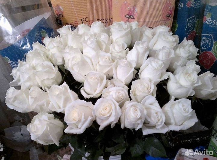 51 Роза, Букеты Цветы Розы 25 101 501 1001