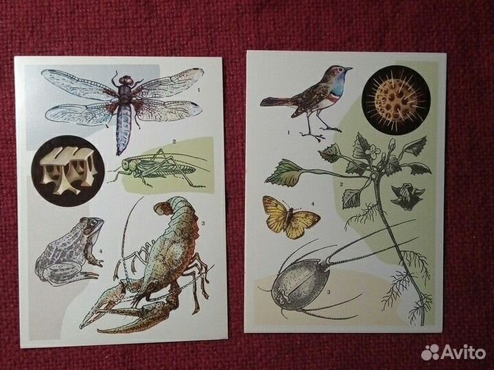 Открытки набор «У водоема»16 шт 1977 год