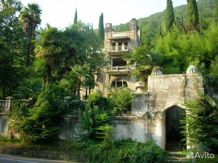 Самый насыщенный интересный тур в Абхазию