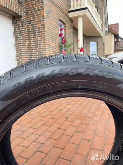 Pirelli Scorpion Winter 255/50 R19