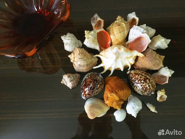 Ваза с морскими ракушками (Чехия)