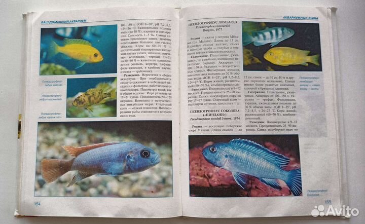 Энциклопедия Аквариум