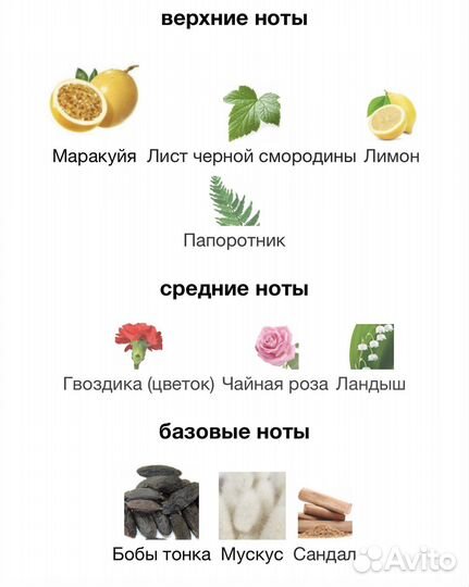 Парфюм Cassiopea tiziana ternzi