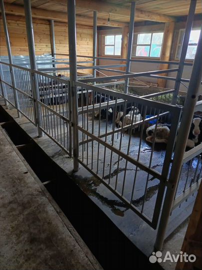 Конвейерная лента бу