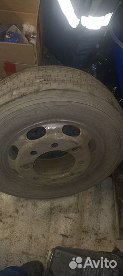 Колесо в сборе R19.5