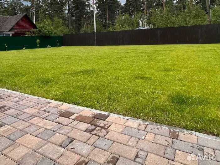 Семена газонной травы