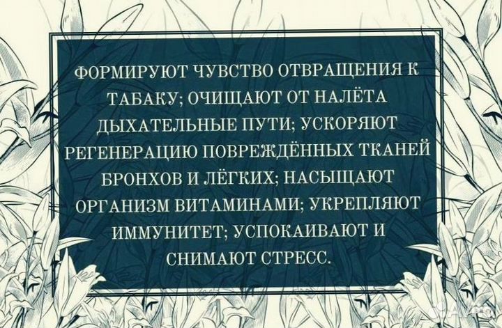 Антиникотиновая паста