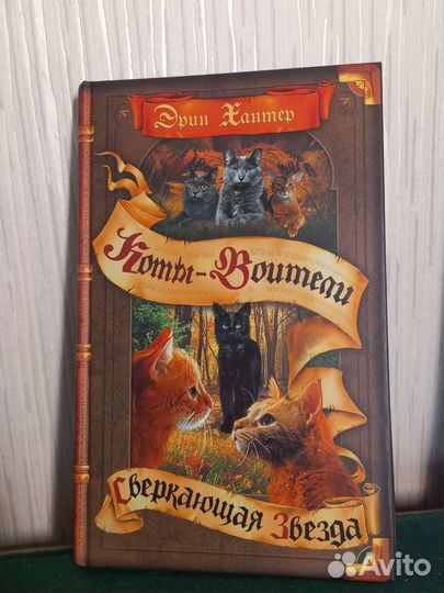Книги Коты-Воители Сверкающая Звезда