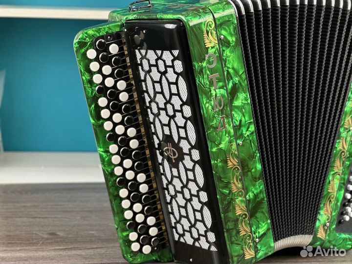 Баян «Этюд 205м» 55/100 / купить баян