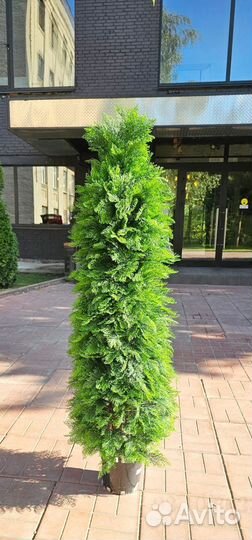 Искусственное дерево Туя 160 см