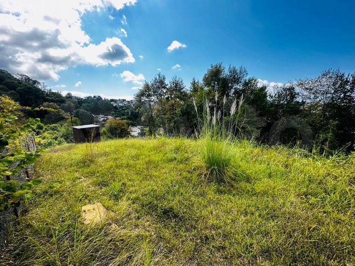 Участок 6,2 сот. (СНТ, ДНП)