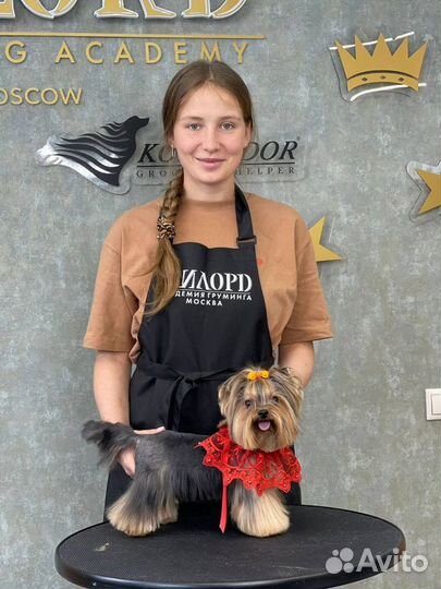 Груминг стрижка собак и кошек