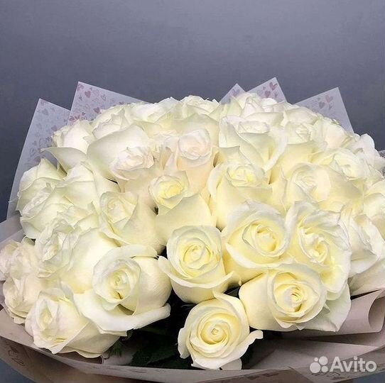 Высокие розы Гигантские розы с доставкой