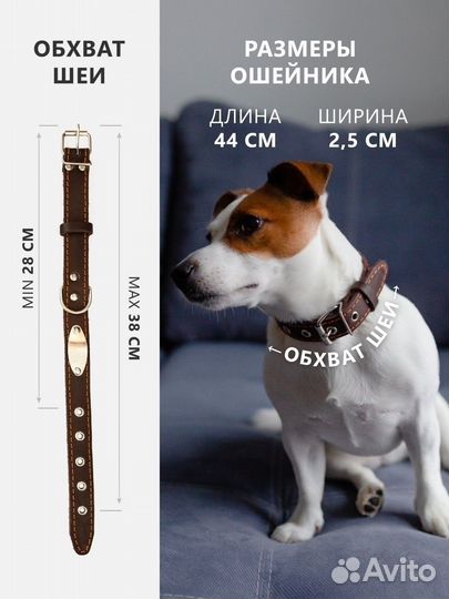 Кожаные ошейники для собак с адресником