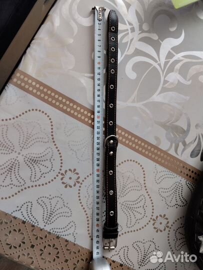 Ошейник для собак