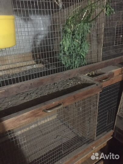 Большая клетка для птиц